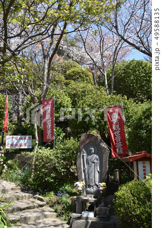 大船観音　鎌倉市 49588135