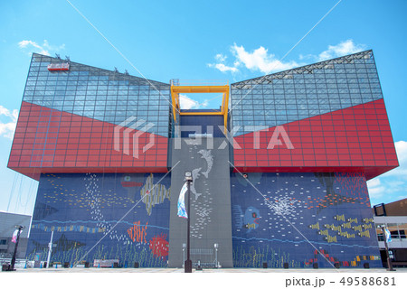 海遊館へ行こう! 海遊館へ行こう! 49588681