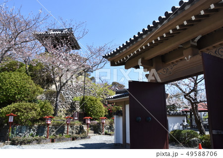 大船観音　鎌倉市 49588706