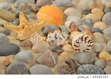 Starfish, seashells and pebbles close-up 49589163