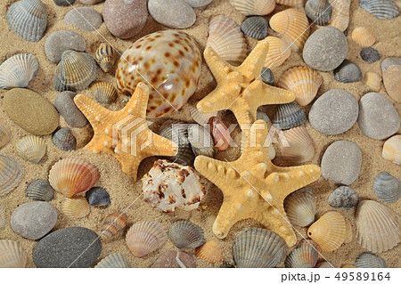 Starfishes, seashells and pebbles close-up 49589164