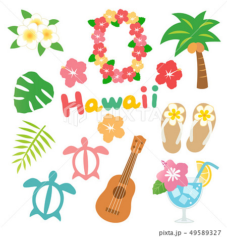 Hawaiian Cute Illustration Set Stock Illustration