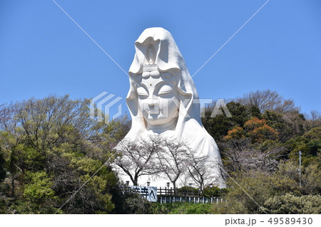 大船観音　鎌倉市 49589430