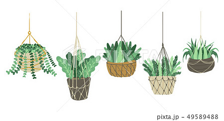 andscape garden potted plants 49589488