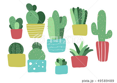 landscape garden potted plants 49589489