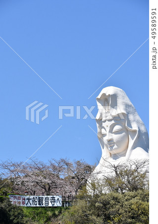 大船観音　鎌倉市 49589591