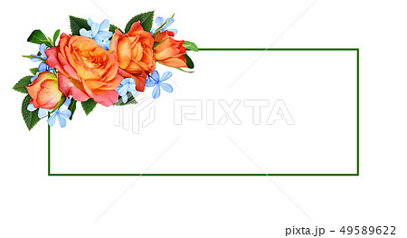 Orange roses and blue small flowers  in a corner 49589622