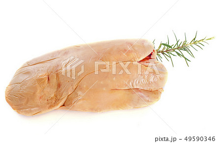 foie gras 49590346