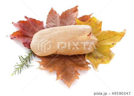 foie gras on leaf 49590347
