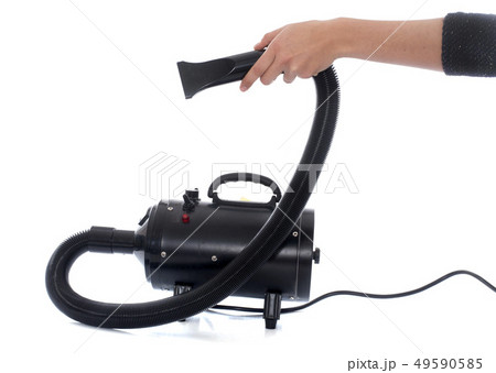 Hair dryer for dog 49590585