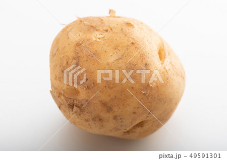 新ジャガイモ　新じゃが　春野菜 49591301