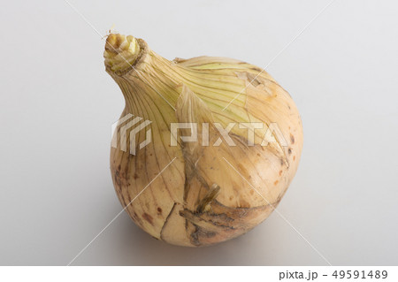 新玉ねぎ 新たまねぎ 春野菜 新玉ねぎ 新たまねぎ 春野菜 49591489