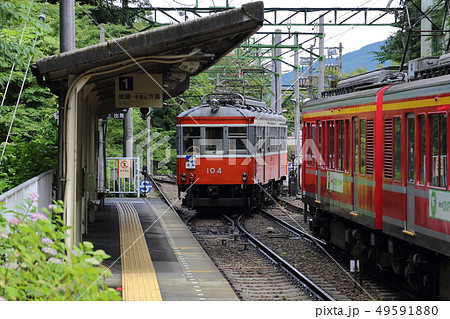 箱根登山鉄道 49591880