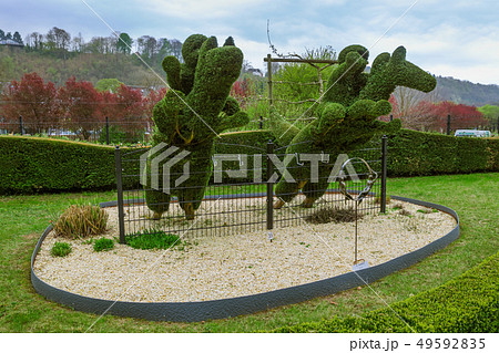 Bush sculpture in park - Durbuy Belgium 49592835
