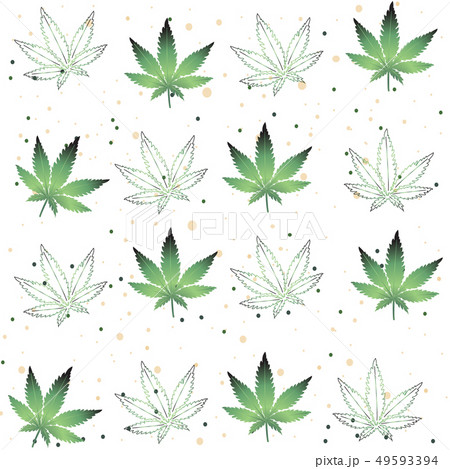 Marijuana Cannabis Leaf seamless background  49593394