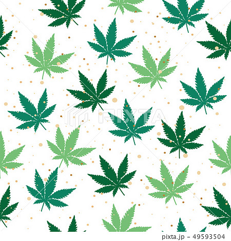 Marijuana cannabis leaves seamless background.  49593504
