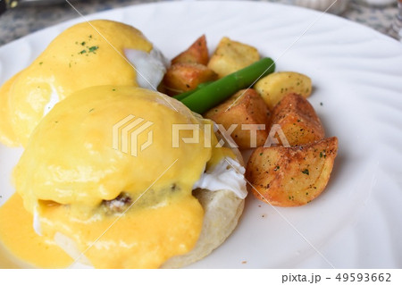 エッグベネディクト 49593662