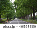 木のトンネル 49593669
