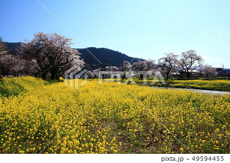 競演の地 競演の地 49594455