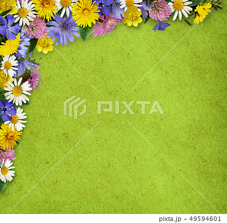Wild flowers in a frame arrangement 49594601