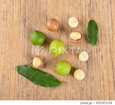 macadamia nuts on wooden background macadamia nuts on wooden background 49595538