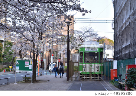 上野・池之端児童遊園旧都電停留場（池之端七軒町）の桜 49595880