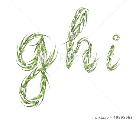 Alphabet of green leaves with letter g, h, i. Alphabet of green leaves with letter g, h, i. 49595968