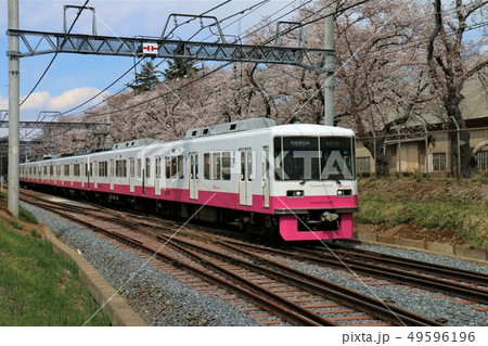 さくら 新京成 電車 さくら 新京成 電車 49596196