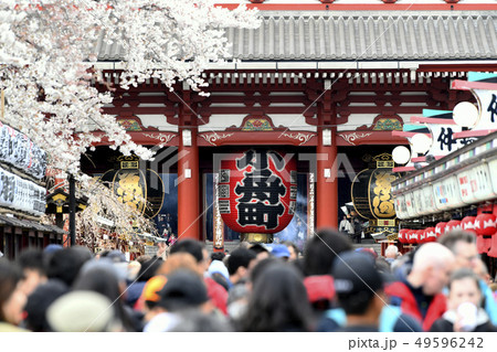 日本の東京都市景観 満開の桜と浅草寺 日本の東京都市景観 満開の桜と浅草寺 49596242