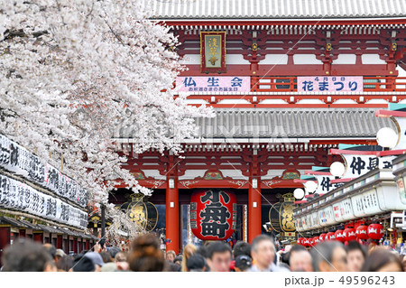 日本の東京都市景観 満開の桜と浅草寺 日本の東京都市景観 満開の桜と浅草寺 49596243