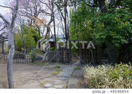 池上百竹亭:中門と露地 松本市丸の内 池上百竹亭:中門と露地 松本市丸の内 49596854