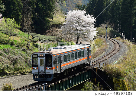 名松線 伊勢鎌倉 桜 名松線 伊勢鎌倉 桜 49597108