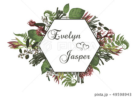 Plants, leaves, branches, brunia, blooming Plants, leaves, branches, brunia, blooming 49598943