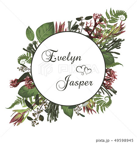 Plants, leaves, branches, brunia, blooming Plants, leaves, branches, brunia, blooming 49598945