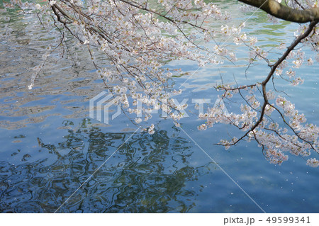 春の芭蕉祭り69 49599341