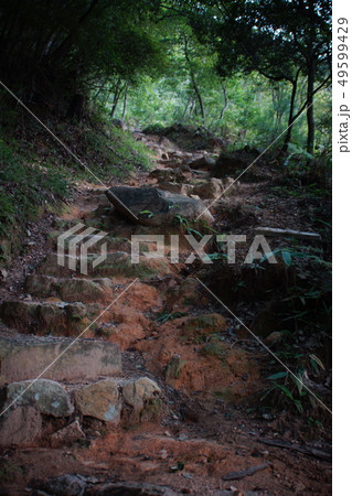 竹田城址 竹田城址 49599429