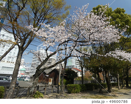 鵜森神社 【浜田城址】 三重県 四日市市 鵜森神社 【浜田城址】 三重県 四日市市 49600786