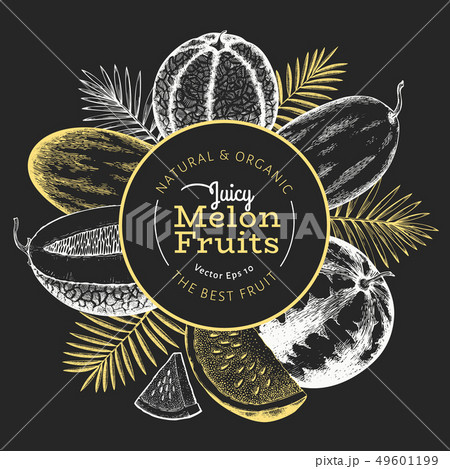 Melons and watermelons with tropical leaves design 49601199
