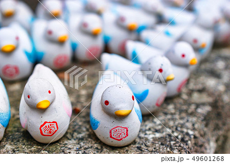 六角堂の鳩みくじ（京都） 49601268