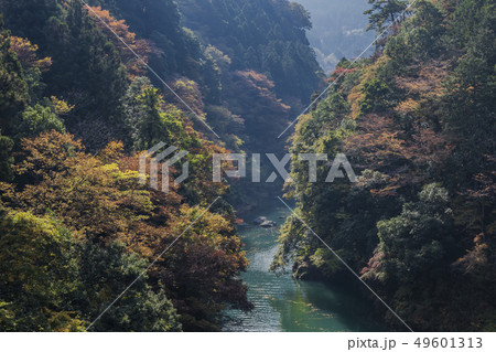 奥多摩　数馬峡　秋景 49601313