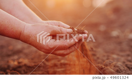 Farmer hands with black soil, organic farming concept Farmer hands with black soil, organic farming concept 49601324