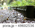散歩日和 49602536