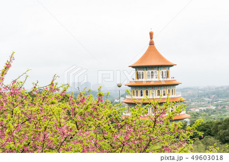 寺 寺院 神殿 49603018