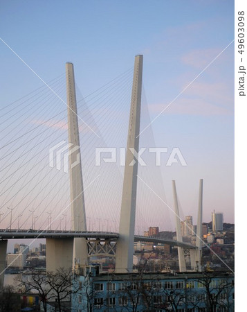 ウラジオストク　夕暮れの金角湾大橋　ロシア 49603098