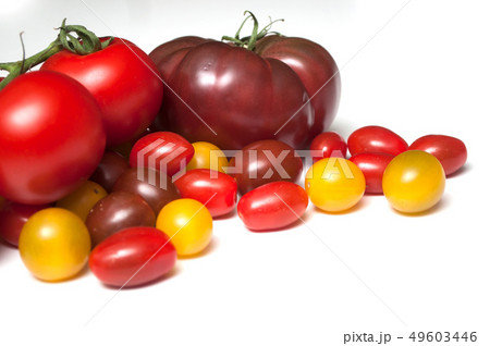 group of various tomatoes en white background 49603446