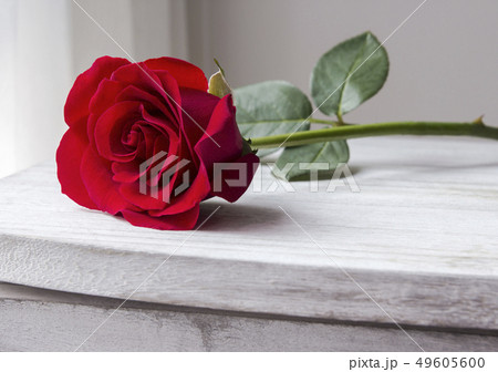 Red rose on vintage cabinet 49605600