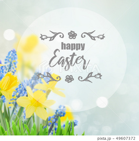 Spring bluebells and daffodils Spring bluebells and daffodils 49607372