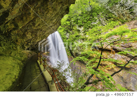 雷滝 長野県高山村 雷滝 長野県高山村 49607557