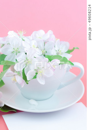 White spring apple tree blooming flowers in a cup White spring apple tree blooming flowers in a cup 49608214