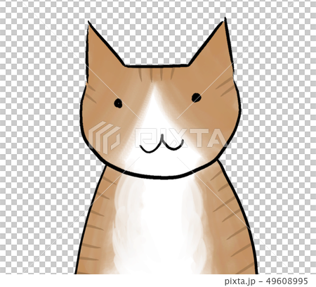 Cat icon (directly on the front) - Stock Illustration